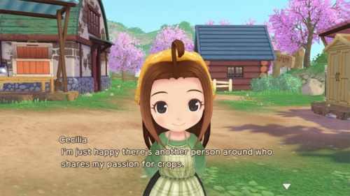 Story of Seasons: A Wonderful Life - Limited Edition[SWITCH]